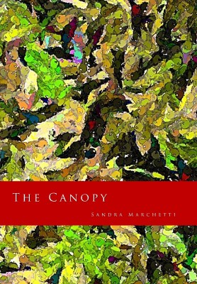 The Canopy by Sandra Marchetti